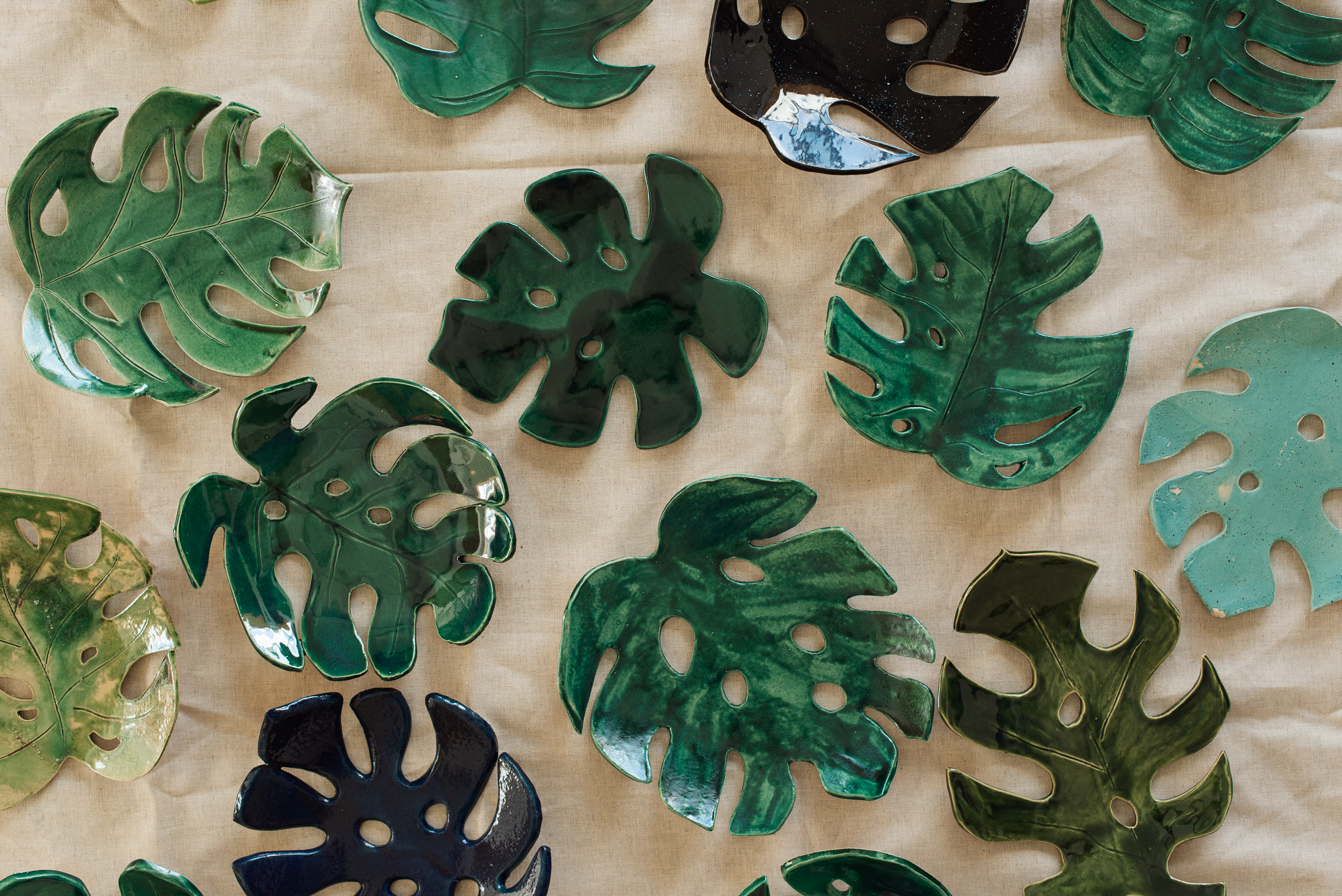 Монстера фото 2