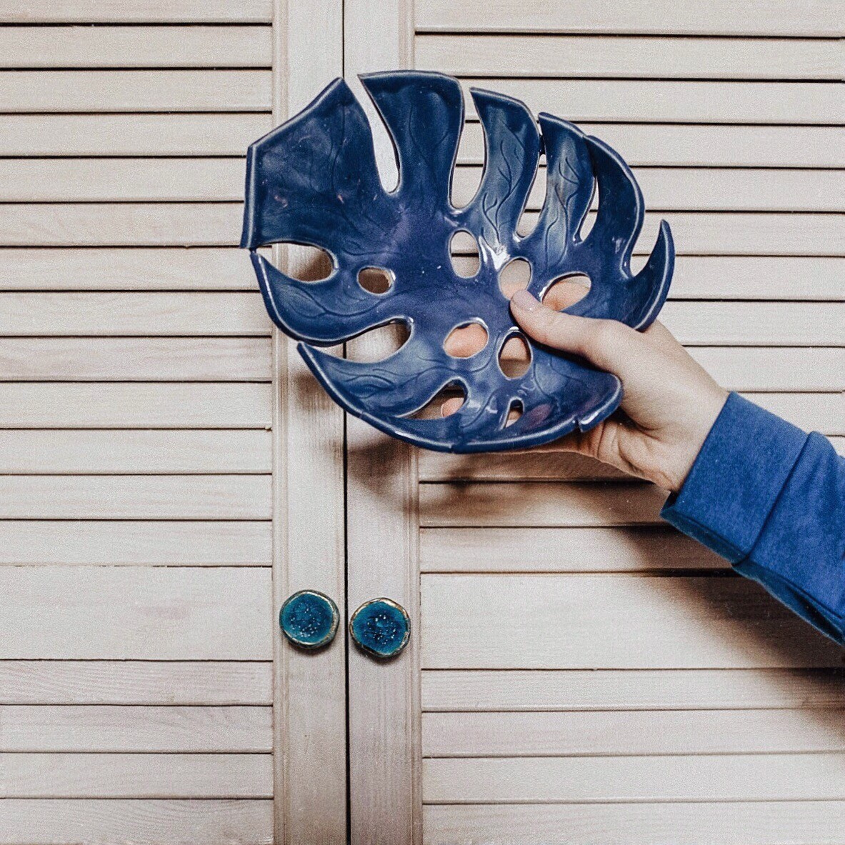 Монстера фото 4