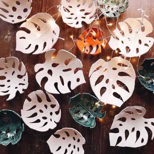 Монстера фото 3