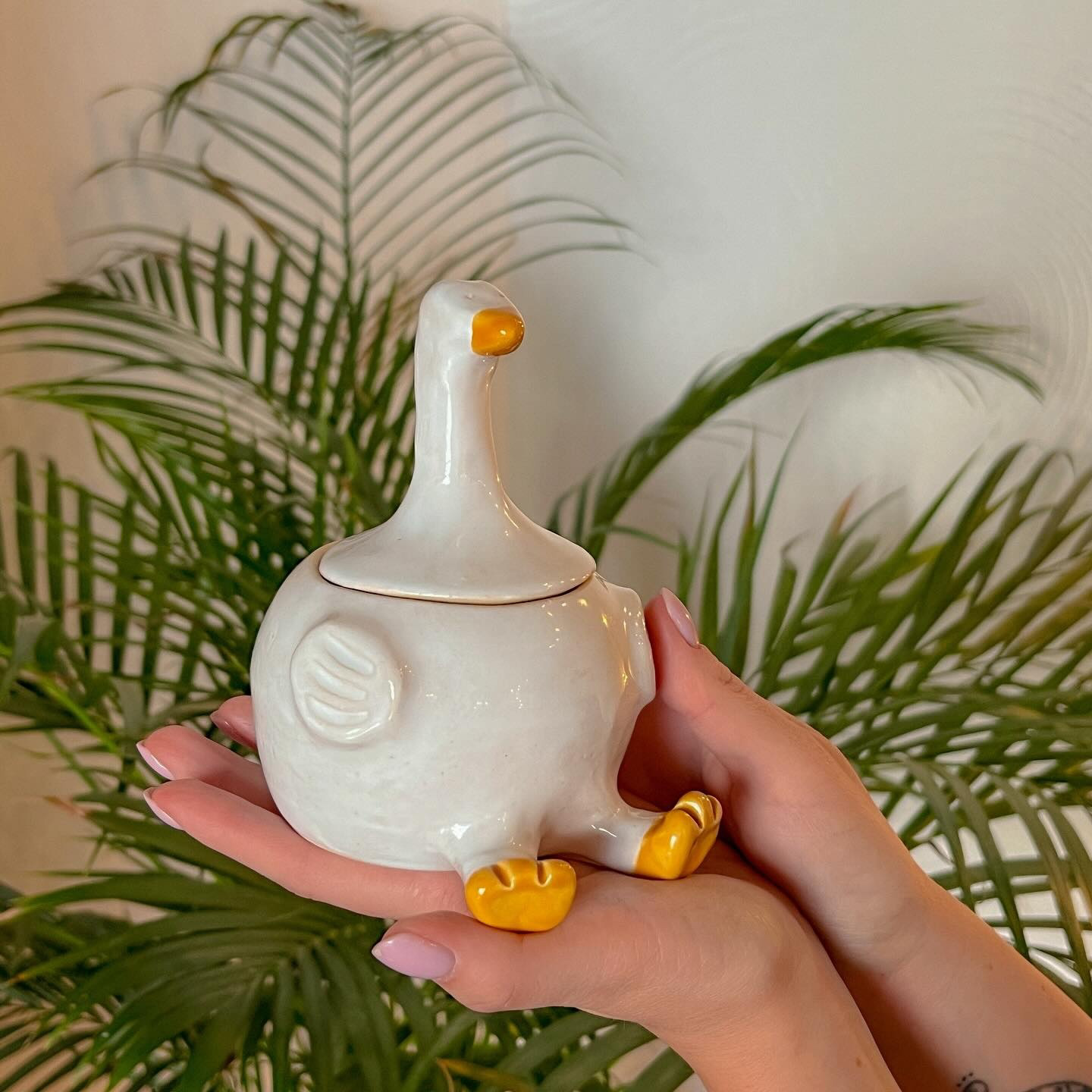 Баночка «Гусь-обнимусь» (13+) фото 1